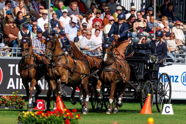 AACHEN - FEI World Championships 2026, AACHEN - FEI World Championships 2026 NAPROUS Daniel (GBR), Ippon, Jack, Lord P.C, Lyzander .V, Onno Stuntman Star Wars, Davinci Code, Games of Thrones and more FEI Driving World Championship, WM, Weltmeisterschaft Four-in-Hand Team & Individual Cones Kegelfahren Aachen, Reitstadion Soers 23. August 2026 - *** AACHEN FEI World Championships 2026, AACHEN FEI World Championships 2026 NAPROUS Daniel GBR, Ippon, Jack, Lord P C, Lyzander V, Onno (Star Wars stuntman), The Da Vinci Code, Game of Thrones, and more FEI Driving World Championships: Four-in-Hand, Team, Individual, and Cones Competition, Aachen, Soers Equestrian Stadium, August 23, 2026