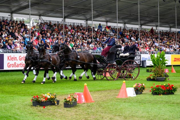 260823 Fredrik Persson of Sweden with horses Fasco, Kaptain, Judson and Kermit compete in the Four-in-Hand cones during day 13 of the 2026 FEI World Championships on August 23, 2026 in Aachen. Photo: Emma Wallskog BILDBYRAN kod EW EW0700 fyrspann drivning körning koner precision *** 260823 Fredrik Persson of Sweden, with his horses Fasco, Kaptain, Judson, and Kermit, competes in the Four-in-Hand cones on Day 13 of the 2026 FEI World Championships on August 23, 2026 in Aachen. Photo by Emma Wallskog. BILDBYRAN code EW EW0700 four-in-hand driving cones precision  Copyright: EMMAxWALLSKOG BB260823EW014