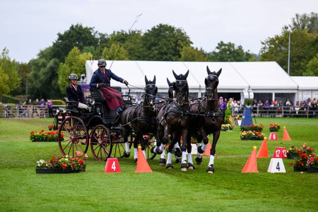 260823 Fredrik Persson of Sweden with horses Fasco, Kaptain, Judson and Kermit compete in the Four-in-Hand cones during day 13 of the 2026 FEI World Championships on August 23, 2026 in Aachen. Photo: Emma Wallskog BILDBYRAN kod EW EW0700 fyrspann drivning körning koner precision *** 260823 Fredrik Persson of Sweden, with his horses Fasco, Kaptain, Judson, and Kermit, competes in the Four-in-Hand cones on Day 13 of the 2026 FEI World Championships on August 23, 2026 in Aachen. Photo by Emma Wallskog. BILDBYRAN code EW EW0700 four-in-hand driving cones precision  Copyright: EMMAxWALLSKOG BB260823EW016