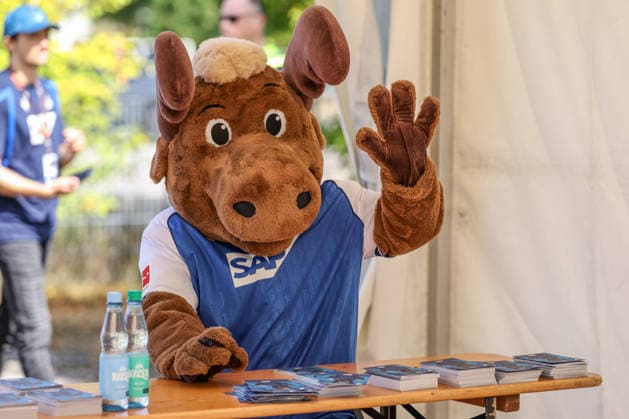 GER, Sinsheim, TSG Hoffenheim Saisoneröffnung, Fussball, DFB, Spielzeit 2026 2027, SNP Arena im Bild: Hoffi DFB DFL REGULATIONS PROHIBIT ANY USE OF PHOTOGRAPHS AS IMAGE SEQUENCES AND OR QUASI-VIDEO, 23.08.2026 *** GER, Sinsheim, TSG Hoffenheim Season Opener, Soccer, DFB, 2026–2027 Season, SNP Arena in pictures: Hoffi, DFB, DFL. REGULATIONS PROHIBIT ANY USE OF PHOTOGRAPHS AS IMAGE SEQUENCES AND OR QUASI-VIDEO. August 23, 2026 Copyright: HMBxMedia HendrikxHamelau
