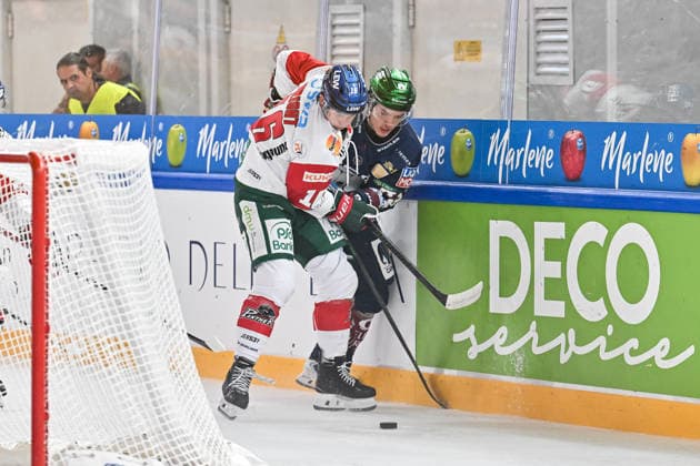 Dolomitencup 2026; Eisbären Berlin - Augsburger Panther; 23.08.2026 NEUMARKT, ITALY - 23. AUGUST: im Duell Cameron WRIGHT (Augsburger Panther 16) und Moritz KRETZSCHMAR (Eisbären Berlin 83) während dem Testspiel zwischen den Eisbären Berlin und den Augsburger Panthern beim Dolomitencup in der Würth Arena Neumarkt *** Dolomites Cup 2026: Eisbären Berlin vs. Augsburger Panther, August 23, 2026, NEUMARKT, ITALY, August 23: Cameron WRIGHT of the Augsburger Panther (No. 16) and Moritz KRETZSCHMAR of the Eisbären Berlin (No. 83) face off during the exhibition game between the Eisbären Berlin and the Augsburger Panther at the Dolomiten Cup in the Würth Arena in Neumarkt Copyright: xBEAUTIFULxSPORTS Goldbergx
