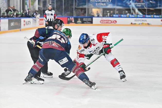 Dolomitencup 2026; Eisbären Berlin - Augsburger Panther; 23.08.2026 NEUMARKT, ITALY - 23. AUGUST: im Duell beim Bully Manuel WIEDERER (Eisbären Berlin 21) und Cameron WRIGHT (Augsburger Panther 16) während dem Testspiel zwischen den Eisbären Berlin und den Augsburger Panthern beim Dolomitencup in der Würth Arena Neumarkt *** Dolomites Cup 2026 Eisbären Berlin vs. Augsburger Panther August 23, 2026, NEUMARKT, ITALY, August 23: Manuel WIEDERER of the Eisbären Berlin (No. 21) and Cameron WRIGHT of the Augsburger Panther (No. 16) face off at the faceoff during the exhibition game between the Eisbären Berlin and the Augsburger Panther at the Dolomiten Cup in the Würth Arena in Neumarkt Copyright: xBEAUTIFULxSPORTS Goldbergx