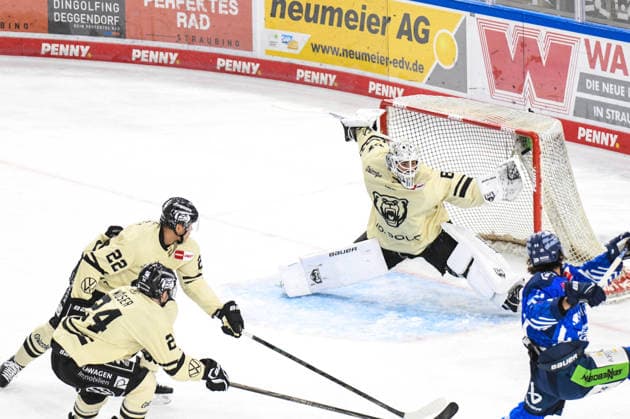 Straubing Tigers vs. Grizzlys Wolfsburg, Eishockey, Deutsche Eishockey Liga, Penny DEL, Vorbereitungsspiel, Gaeuboden Cup, Saison 2026 2027 am 23.08.2026 Jamieson Rees (Straubing Tigers) drueckt den Puck ins Tor und ueberwindet Hannibal Weitzmann (Grizzlys Wolfsburg), Eishockey Herren, Deutsche Eishockey Liga, Penny DEL, Vorbereitungsspiel, Gaeuboden Cup, Saison 2026 2027 am 23.08.2026 im Eisstadion am Pulverturm, Straubing Tigers (blau) gegen Grizzlys Wolfsburg (beige) *** Straubing Tigers vs. Grizzlys Wolfsburg, Ice Hockey, German Ice Hockey League, Penny DEL, Preseason Game, Gaeuboden Cup, 2026–2027 season on August 23, 2026: Jamieson Rees of the Straubing Tigers shoots the puck into the net, beating Hannibal Weitzmann of the Grizzlys Wolfsburg; Men’s Ice Hockey, German Ice Hockey League, Penny DEL, Preseason Game, Gaeuboden Cup, 2026–2027 Season on August 23, 2026, at the Eisstadion am Pulverturm, Straubing Tigers (blue) vs. Grizzlys Wolfsburg (beige)