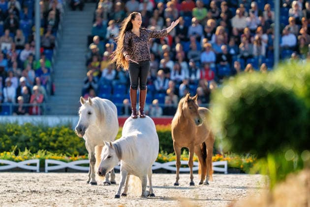 Impressionen der Abschlussfeier FEI World Championship, WM, Weltmeisterschaft Aachen 2026, Closing Ceremony, Abschlussfeier, 23.08.2026 FEI World Championship Aachen 2026, Closing Ceremony, Abschlussfeier, 23.08.2026 Aachen *** Highlights from the Closing Ceremony of the 2026 FEI World Championships in Aachen, Closing Ceremony, August 23, 2026, 2026 FEI World Championships in Aachen, Closing Ceremony, August 23, 2026, Aachen Copyright: xEibner-Pressefoto J.xDerondeaux EP_JDU