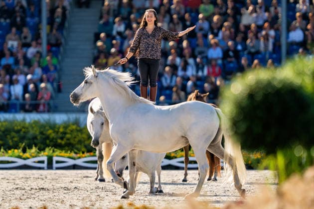 Impressionen der Abschlussfeier FEI World Championship, WM, Weltmeisterschaft Aachen 2026, Closing Ceremony, Abschlussfeier, 23.08.2026 FEI World Championship Aachen 2026, Closing Ceremony, Abschlussfeier, 23.08.2026 Aachen *** Highlights from the Closing Ceremony of the 2026 FEI World Championships in Aachen, Closing Ceremony, August 23, 2026, 2026 FEI World Championships in Aachen, Closing Ceremony, August 23, 2026, Aachen Copyright: xEibner-Pressefoto J.xDerondeaux EP_JDU