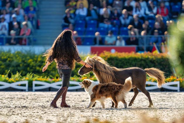 Impressionen der Abschlussfeier FEI World Championship, WM, Weltmeisterschaft Aachen 2026, Closing Ceremony, Abschlussfeier, 23.08.2026 FEI World Championship Aachen 2026, Closing Ceremony, Abschlussfeier, 23.08.2026 Aachen *** Highlights from the Closing Ceremony of the 2026 FEI World Championships in Aachen, Closing Ceremony, August 23, 2026, 2026 FEI World Championships in Aachen, Closing Ceremony, August 23, 2026, Aachen Copyright: xEibner-Pressefoto J.xDerondeaux EP_JDU