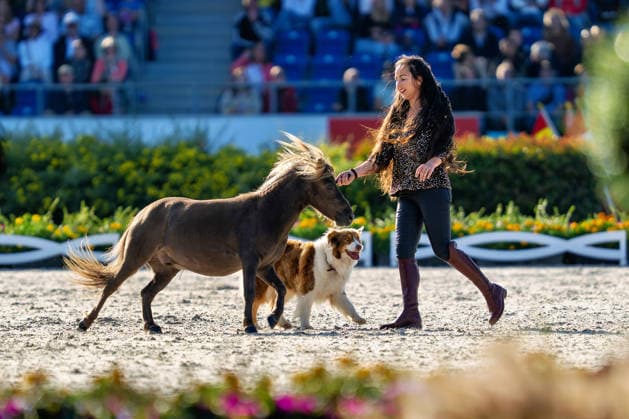 Impressionen der Abschlussfeier FEI World Championship, WM, Weltmeisterschaft Aachen 2026, Closing Ceremony, Abschlussfeier, 23.08.2026 FEI World Championship Aachen 2026, Closing Ceremony, Abschlussfeier, 23.08.2026 Aachen *** Highlights from the Closing Ceremony of the 2026 FEI World Championships in Aachen, Closing Ceremony, August 23, 2026, 2026 FEI World Championships in Aachen, Closing Ceremony, August 23, 2026, Aachen Copyright: xEibner-Pressefoto J.xDerondeaux EP_JDU