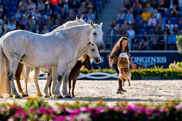 Impressionen der Abschlussfeier FEI World Championship, WM, Weltmeisterschaft Aachen 2026, Closing Ceremony, Abschlussfeier, 23.08.2026 FEI World Championship Aachen 2026, Closing Ceremony, Abschlussfeier, 23.08.2026 Aachen *** Highlights from the Closing Ceremony of the 2026 FEI World Championships in Aachen, Closing Ceremony, August 23, 2026, 2026 FEI World Championships in Aachen, Closing Ceremony, August 23, 2026, Aachen Copyright: xEibner-Pressefoto J.xDerondeaux EP_JDU