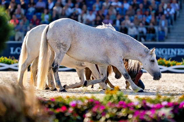 Impressionen der Abschlussfeier FEI World Championship, WM, Weltmeisterschaft Aachen 2026, Closing Ceremony, Abschlussfeier, 23.08.2026 FEI World Championship Aachen 2026, Closing Ceremony, Abschlussfeier, 23.08.2026 Aachen *** Highlights from the Closing Ceremony of the 2026 FEI World Championships in Aachen, Closing Ceremony, August 23, 2026, 2026 FEI World Championships in Aachen, Closing Ceremony, August 23, 2026, Aachen Copyright: xEibner-Pressefoto J.xDerondeaux EP_JDU