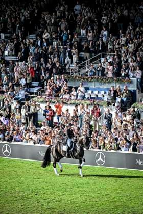 FEI World Championships Aachen 2026. Reit WM in Aachen im Allianz Park (Austragungsort der FEI World Championships) ** NUR FÜR REDAKTIONELLE ZWECKE ** EDITORIAL USE ONLY **<p>Feierliche Abschlussveranstaltung im Hauptstadion am Sonntag, dem 23 08 2026. In diesem Jahr wird in Aachen die Reit WM ausgerichtet. FEI World Championships Aachen 2026. Reit WM in Aachen im Allianz Park (Austragungsort der FEI World Championships) Deutschland NRW Essen Copyright: KerstinxKokoska *** FEI World Championships Aachen 2026 Equestrian World Championships in Aachen at Allianz Park, venue of the FEI World Championships ** FOR EDITORIAL PURPOSES ONLY ** EDITORIAL USE ONLY ** p Closing ceremony at the main stadium on Sunday, August 23, 2026 This year, Aachen will host the World Equestrian Championships FEI World Championships Aachen 2026 World Equestrian Championships in Aachen at Allianz Park Venue of the FEI World Championships Germany North Rhine-Westphalia Essen Copyright KerstinxKokoska Copyright: KerstinxKokoska doc87ac4kzlgqe1599p8mde ,EDITORIAL USE ONLY