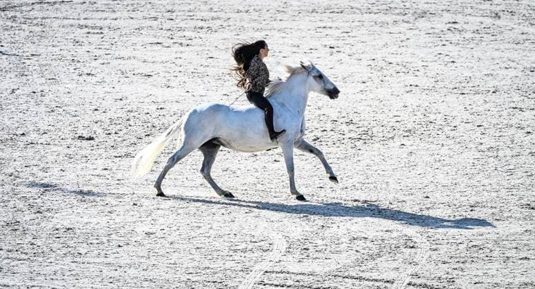 FEI World Championships Aachen 2026. Reit WM in Aachen im Allianz Park (Austragungsort der FEI World Championships) ** NUR FÜR REDAKTIONELLE ZWECKE ** EDITORIAL USE ONLY **<p>Feierliche Abschlussveranstaltung im Hauptstadion am Sonntag, dem 23 08 2026. In diesem Jahr wird in Aachen die Reit WM ausgerichtet. FEI World Championships Aachen 2026. Reit WM in Aachen im Allianz Park (Austragungsort der FEI World Championships) Deutschland NRW Essen Copyright: KerstinxKokoska *** FEI World Championships Aachen 2026 Equestrian World Championships in Aachen at Allianz Park, venue of the FEI World Championships ** FOR EDITORIAL PURPOSES ONLY ** EDITORIAL USE ONLY ** p Closing ceremony at the main stadium on Sunday, August 23, 2026 This year, Aachen will host the World Equestrian Championships FEI World Championships Aachen 2026 World Equestrian Championships in Aachen at Allianz Park Venue of the FEI World Championships Germany North Rhine-Westphalia Essen Copyright KerstinxKokoska Copyright: KerstinxKokoska doc87ac4l44gyrbtzmlmiz ,EDITORIAL USE ONLY