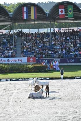 FEI World Championships Aachen 2026. Reit WM in Aachen im Allianz Park (Austragungsort der FEI World Championships) ** NUR FÜR REDAKTIONELLE ZWECKE ** EDITORIAL USE ONLY **<p>Feierliche Abschlussveranstaltung im Hauptstadion am Sonntag, dem 23 08 2026. In diesem Jahr wird in Aachen die Reit WM ausgerichtet. FEI World Championships Aachen 2026. Reit WM in Aachen im Allianz Park (Austragungsort der FEI World Championships) Deutschland NRW Essen Copyright: KerstinxKokoska *** FEI World Championships Aachen 2026 Equestrian World Championships in Aachen at Allianz Park, venue of the FEI World Championships ** FOR EDITORIAL PURPOSES ONLY ** EDITORIAL USE ONLY ** p Closing ceremony at the main stadium on Sunday, August 23, 2026 This year, Aachen will host the World Equestrian Championships FEI World Championships Aachen 2026 World Equestrian Championships in Aachen at Allianz Park Venue of the FEI World Championships Germany North Rhine-Westphalia Essen Copyright KerstinxKokoska Copyright: KerstinxKokoska doc87ac4l5nic0k21wxiar ,EDITORIAL USE ONLY