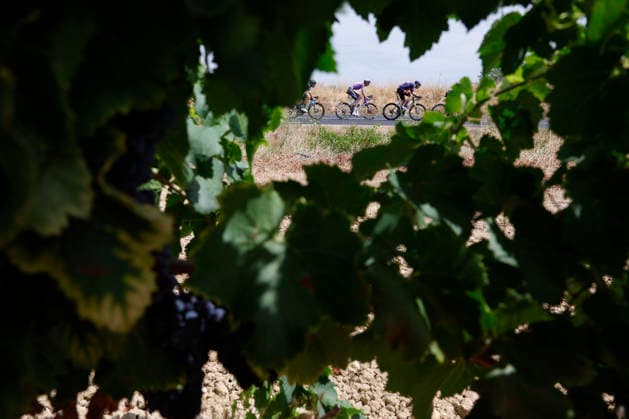 The pack competes in the third stage of La Vuelta a Espana cycling tour, over 166,7 km from Gruissan to Font- Romeu (both in France). La Vuelta a Espana cycling tour - Stage 3 !ACHTUNG: NUR REDAKTIONELLE NUTZUNG!  Copyright: xJavierxLizónx GRAF3986 20260824-55021214611_1