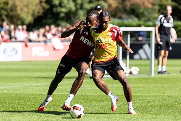 Training, 1.FC Köln, 26.08.2026 Elias Bakatukanda (1. FC Köln), Reigan Heskey (1. FC Köln, 11) Training, 1.FC Köln, 26.08.2026 DFL regulations prohibit any use of photographs as image sequences and or quasi video. *** Training, 1. FC Köln, August 26, 2026 Elias Bakatukanda 1. FC Köln, Reigan Heskey 1. FC Köln, 11 Training, 1. FC Köln, August 26, 2026 DFL regulations prohibit any use of photographs as image sequences and or quasi-video Copyright: xBEAUTIFULxSPORTS Buriakovx