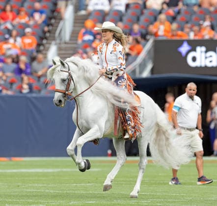 August 28, 2026, Denver, Colorado, USA: Broncos Rider a top of Thunder makes her way around the field during warm-ups before the 1st. Half at Empower Field at Mile High Friday evening. Broncos beat the Vikings 34-6 in Pre-Season play. Credit Image: ZUMA Press Wire) Denver USA - ZUMAav4_ 20260828_zaf_av4_016 Copyright: xHectorxAcevedox