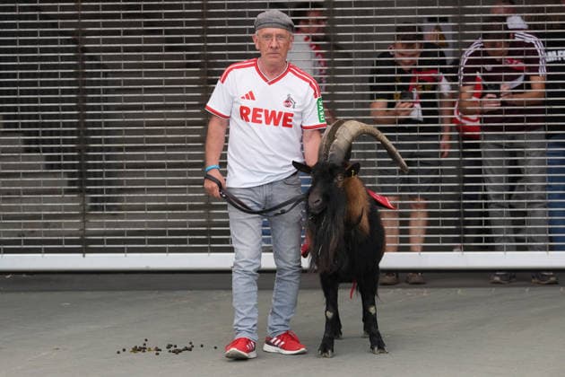 29.08.2026,GER, Fussball, Herren, 1. Bundesliga, Saison 2026 2027, 1. Spieltag, 1. FC Köln vs. TSG Hoffenheim Hennes IX das Maskottchen des 1. FC Köln, mit Ingo Reipka betreut Hennes und führt ihn immer ins Stadion, DFB DFL regulations prohibit any use of photographs as image sequences and or quasi-video Köln Rheinenergiestadion NRW Deutschland Germany *** August 29, 2026, GER, Soccer, Men s, Bundesliga 1, 2026–2027 Season, Matchday 1, 1. FC Köln vs. TSG Hoffenheim. Hennes IX, the mascot of 1. FC Köln, is looked after by Ingo Reipka, who always brings him to the stadium. DFB and DFL regulations prohibit any use of photographs as image sequences and or quasi-video. Köln Rheinenergiestadion, NRW, Germany Copyright: xNordphoto Meuterx