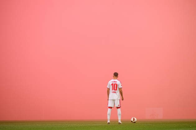 COLOGNE, GERMANY - 29 AUGUST, 2026: Said El Mala - 1. FC Koeln v TSG 1899 Hoffenheim - Bundesliga at RheinEnergieStadion.  Copyright: xVitaliixKliuievx