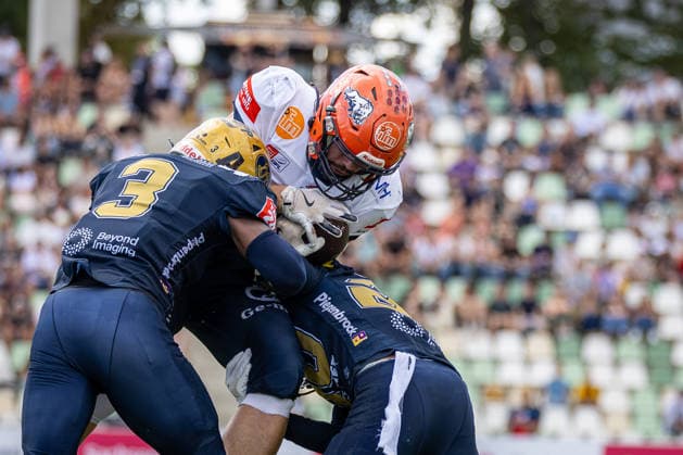 William Enneking (ifm Razorbacks Ravensburg, 80 Tight End) with the ball is tackled by Devonni Reed (Dresden Monarchs, 03 Defensive Back) and Jason Denneboom (Dresden Monarchs, 20 Defensive Back) Dresden Monarchs vs ifm Razorbacks Ravensburg, American Football, German Football League, Week 17, 2026, 30.08.2026, Dresden Heinz-Steyer-Stadion Saxony Germany Copyright: xPFA SebastianxJustx