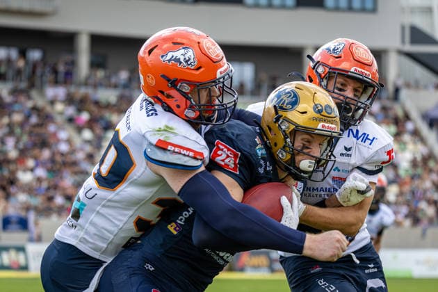 Janne Särkelä (Dresden Monarchs, 84 Wide Receiver) is tackled by Samuel Mindham (ifm Razorbacks Ravensburg, 30 Defensive Back) and Jona Uekert (ifm Razorbacks Ravensburg, 33 Defensive Back) Dresden Monarchs vs ifm Razorbacks Ravensburg, American Football, German Football League, Week 17, 2026, 30.08.2026, Dresden Heinz-Steyer-Stadion Saxony Germany Copyright: xPFA SebastianxJustx
