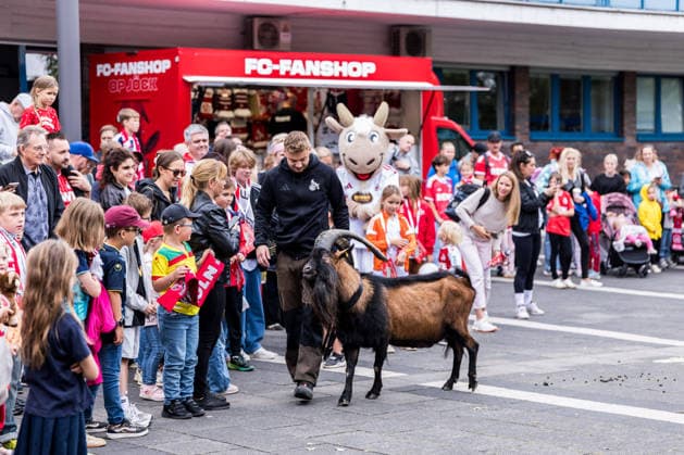 FC Köln Zootag; 01.09.2026 KÖLN, DEUTSCHLAND - SEPTEMBER 01: Tierpfleger Tim und Geissbock Hennes IX. begrüßen die kleinen Fans während dem FC Zootag am 01. September 2026 im Kölner Zoo, Köln. Copyright: xBEAUTIFULxSPORTS Wunderlx