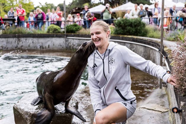 FC Köln Zootag; 01.09.2026 KÖLN, DEUTSCHLAND - SEPTEMBER 01: Anna-Lena Stolze (1. FC Köln, 7) bekommt während der Seelöwen Show ein Küsschen während dem FC Zootag am 01. September 2026 im Kölner Zoo, Köln. Copyright: xBEAUTIFULxSPORTS Wunderlx