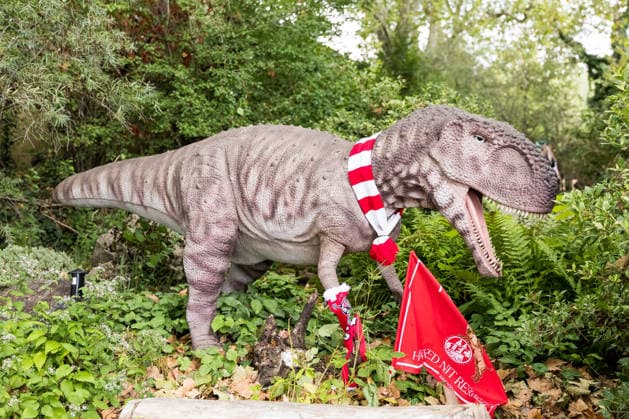 FC Köln Zootag; 01.09.2026 KÖLN, DEUTSCHLAND - SEPTEMBER 01: Ein Dinosaurier dekoriert mit 1. FC Koeln Schal und Fahne während dem FC Zootag am 01. September 2026 im Kölner Zoo, Köln. *** FC Cologne Zoo Day, September 1, 2026, Cologne, Germany A dinosaur adorned with an 1 FC Cologne scarf and flag during the FC Cologne Zoo Day on September 1, 2026, at the Cologne Zoo, Cologne Copyright: xBEAUTIFULxSPORTS Wunderlx