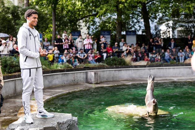 FC Köln Zootag; 01.09.2026 KÖLN, DEUTSCHLAND - SEPTEMBER 01: Seelöwen Show mit Jahmai Simpson-Pusey (1. FC Koeln, 22) während dem FC Zootag am 01. September 2026 im Kölner Zoo, Köln. *** FC Cologne Zoo Day, September 1, 2026, Cologne, Germany: Sea Lion Show with Jahmai Simpson Pusey 1 FC Cologne, 22, during the FC Zoo Day on September 1, 2026, at the Cologne Zoo, Cologne Copyright: xBEAUTIFULxSPORTS Wunderlx