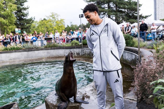 FC Köln Zootag; 01.09.2026 KÖLN, DEUTSCHLAND - SEPTEMBER 01: Seelöwen Show mit Jahmai Simpson-Pusey (1. FC Koeln, 22) während dem FC Zootag am 01. September 2026 im Kölner Zoo, Köln. *** FC Cologne Zoo Day, September 1, 2026, Cologne, Germany: Sea Lion Show with Jahmai Simpson Pusey 1 FC Cologne, 22, during the FC Zoo Day on September 1, 2026, at the Cologne Zoo, Cologne Copyright: xBEAUTIFULxSPORTS Wunderlx