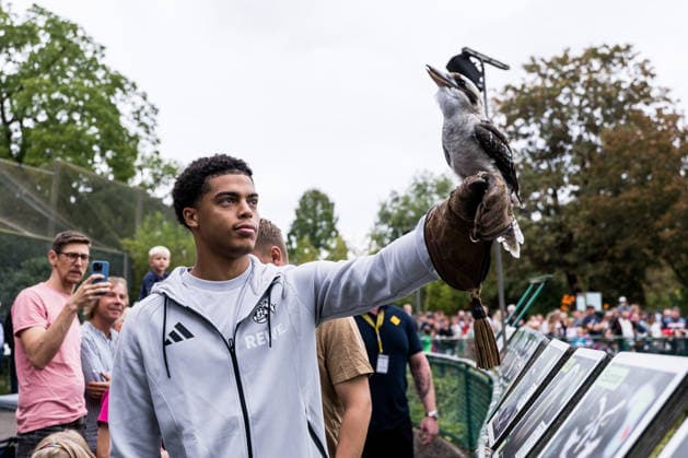 FC Köln Zootag; 01.09.2026 KÖLN, DEUTSCHLAND - SEPTEMBER 01: Jahmai Simpson-Pusey (1. FC Koeln, 22) mit dem Lachenden Hans Hennes während dem FC Zootag am 01. September 2026 im Kölner Zoo, Köln. *** FC Cologne Zoo Day, September 1, 2026, Cologne, GERMANY SEPTEMBER 1 Jahmai Simpson Pusey 1 FC Cologne, 22, with Hans Hennes the Laughing One during FC Zoo Day on September 1, 2026, at the Cologne Zoo, Cologne Copyright: xBEAUTIFULxSPORTS Wunderlx