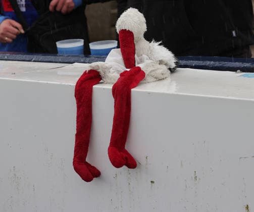 Fussball, Herren, Saison 2026 2027, 2.BL, Holstein Stadion, Holstein Kiel gegen 1.FC Nuernberg Der Storch DFL REGULATIONS PROHIBIT ANY USE OF PHOTOGRAPHS AS IMAGE SEQUENCES AND OR QUASI-VIDEO. *** Soccer, Men s, 2026–2027 Season, 2nd Bundesliga, Holstein Stadium, Holstein Kiel vs. 1. FC Nuremberg The Stork DFL REGULATIONS PROHIBIT ANY USE OF PHOTOGRAPHS AS IMAGE SEQUENCES AND OR QUASI-VIDEO