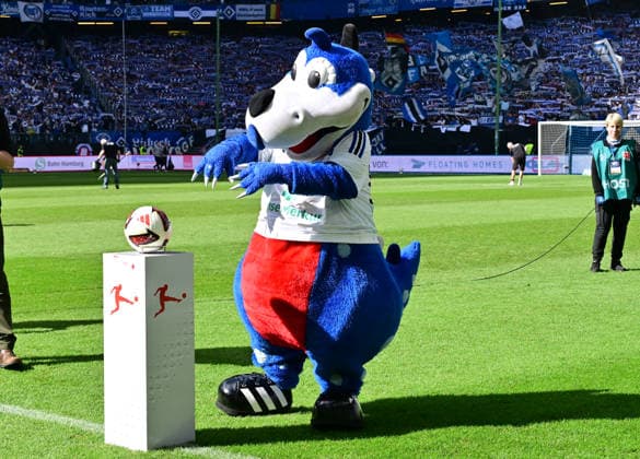 06.09.2026,GER Fußball, Männer, 1.BL, Spieltag 2, Saison 2026 2027, Hamburg, Hamburger SV vs 1.FSV Mainz 05 Maskottchen Hermann verzaubert vor Spielbeginn den Ball DFB DFL regulations prohibit any use of photographs as image sequences and or quasi-video) Hamburg Volksparkstadion Hamburg Deutschland *** September 6, 2026, GER Soccer, Men, 1st Division, Matchday 2, 2026–2027 Season, Hamburg, Hamburger SV vs. 1. FSV Mainz 05; Mascot Hermann enchants the ball before kickoff; DFB and DFL regulations prohibit any use of photographs as image sequences and or quasi-video; Hamburg Volksparkstadion, Hamburg, Germany Copyright: xnordphotoxGmbH xWitkex
