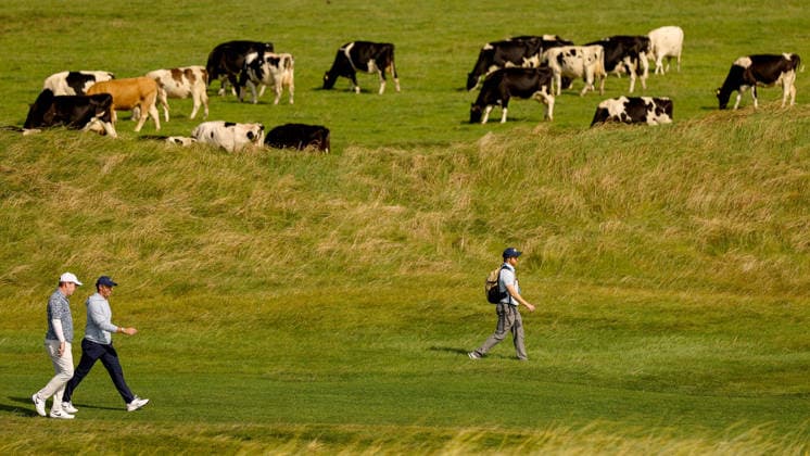 2026 Amgen Irish Open - Second Round, Trump International Golf Links, Doonbeg 11 9 2026 Robert MacIntyre and Rory McIlroy walk up the tenth fairway Robert MacIntyre and Rory McIlroy walk up the tenth fairway 11 9 2026  Copyright: xx BB2_4775a
