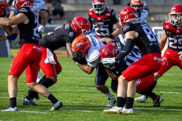 Tye Germain (ifm Razorbacks Ravensburg, 04 Running Back) tackled by Joshua Wünsch (Potsdam Royals, 42 Linebacker) and Devin Hembry (Potsdam Royals, 06 Defensive Back) Potsdam Royals vs ifm Razorbacks Ravensburg, American Football, German Football League, Week 19, 2026, 12.09.2026, Potsdam Sportpark Luftschiffhafen Brandenburg Germany Copyright: xPFA SebastianxJustx
