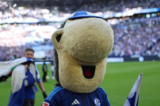 Gelsenkirchen, Deutschland 20. September 2026: 1. BL - 2026 2027 - Sp. 4 - FC Schalke 04 gegen SV Elversberg Im Bild: Maskottchen Erwin DFB DFL regulations prohibit any use of photographs as image sequences and or quasi-video Veltins Arena Nordrhein Westfalen Copyright: xFotostandx xFWMEDIAx