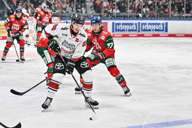 Penny DEL; Augsburger Panther - Kölner Haie, 27.09.2026 AUGSBURG, GERMANY; 27. SEPTEMBER: am Puck Gregor MACLEOD (Kölner Haie 89) während dem Match der Penny DEL zwischen den Augsburger Panthern und den Kölner Haien am 4. Spieltag im Curt Frenzel Stadion Copyright: xBEAUTIFULxSPORTS Goldbergx