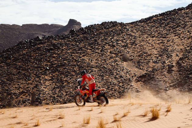 W2RC - RALLYE DU MAROC 2026 78 LLEDO Arnau (esp), PedregÃ Racing Team, KTM 450 Rally Factory Replica, FIM W2RC, Rally 2 J, action, during the Stage 4 of the Rallye du Maroc 2026, 4th round of the 2026 WR2C Championship from October 2, 2026 around Zagora, Morocco - AgadirMorocco  Copyright: xFREDERICxLExFLOCxHx
