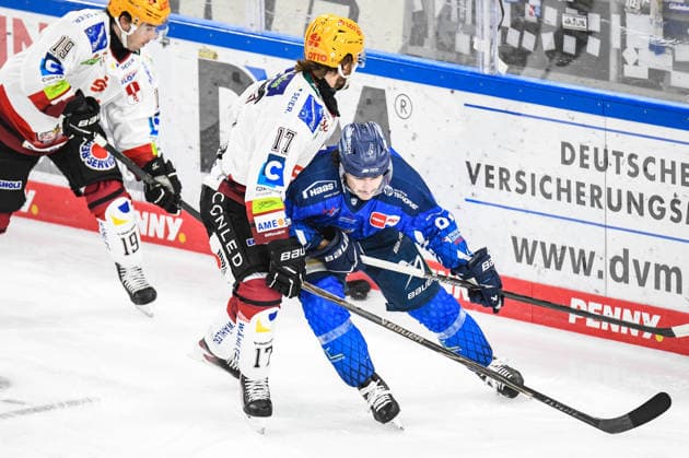 Jamieson Rees (Straubing Tigers) an der Bande mit dem Puck und Ludwig Bystroem (Pinguins Bremerhaven), Eishockey Herren, Deutsche Eishockey Liga, Penny DEL, 5.Spieltag, Saison 2026 2027 am 02.10.2026 im Eisstadion am Pulverturm, Straubing Tigers (blau) gegen Pinguins Bremerhaven (weiss)