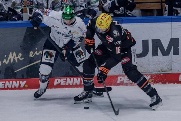PENNY DEL: Löwen Frankfurt - Eisbären Berlin, 02.10.2026 Frederik Tiffels (Eisbären Berlin 95) und Konrad Abeltshauser (Löwen Frankfurt 16) kämpfen um den Puck, Löwen Frankfurt - Eisbären Berlin, Frankfurt, NIX Eissporthalle, 2.10.2026 Copyright: xBEAUTIFULxSPORTS Gawlikx