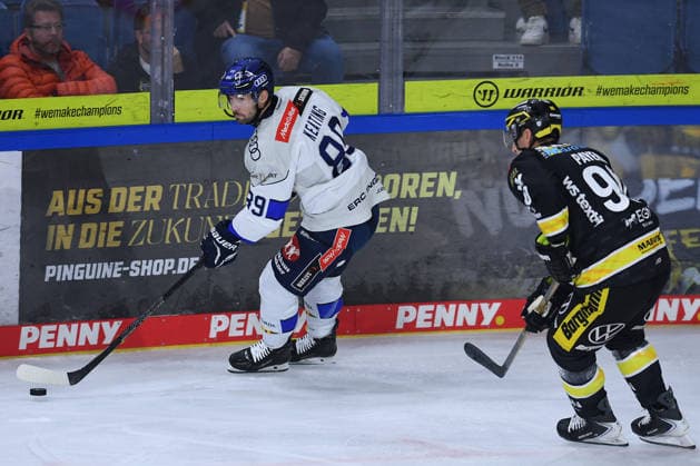 Eishockey Penny DEL 5. Spieltag Krefeld Pinguine - ERC Ingolstadt am 02.10.2026 in der Yayla Arena in Krefeld Austen Keating ( Ingolstadt ), links - Adam Payerl ( Krefeld ), rechts Gemäß den Vorgaben der DEL Deutsche Eishockey Liga ist die Publikation und Weiterverwertung der Aufnahmen in elektronischen Medien und Endgeräten aller Art während des laufenden Spiels nicht zulässig.
