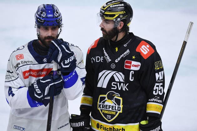 Eishockey Penny DEL 5. Spieltag Krefeld Pinguine - ERC Ingolstadt am 02.10.2026 in der Yayla Arena in Krefeld Morgan Ellis ( Ingolstadt ), links - Davis Vandane ( Krefeld ), rechts Gemäß den Vorgaben der DEL Deutsche Eishockey Liga ist die Publikation und Weiterverwertung der Aufnahmen in elektronischen Medien und Endgeräten aller Art während des laufenden Spiels nicht zulässig.