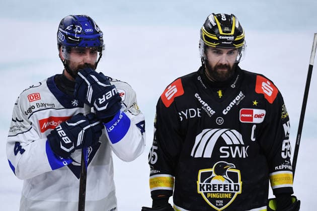 Eishockey Penny DEL 5. Spieltag Krefeld Pinguine - ERC Ingolstadt am 02.10.2026 in der Yayla Arena in Krefeld Morgan Ellis ( Ingolstadt ), links - Davis Vandane ( Krefeld ), rechts Gemäß den Vorgaben der DEL Deutsche Eishockey Liga ist die Publikation und Weiterverwertung der Aufnahmen in elektronischen Medien und Endgeräten aller Art während des laufenden Spiels nicht zulässig.