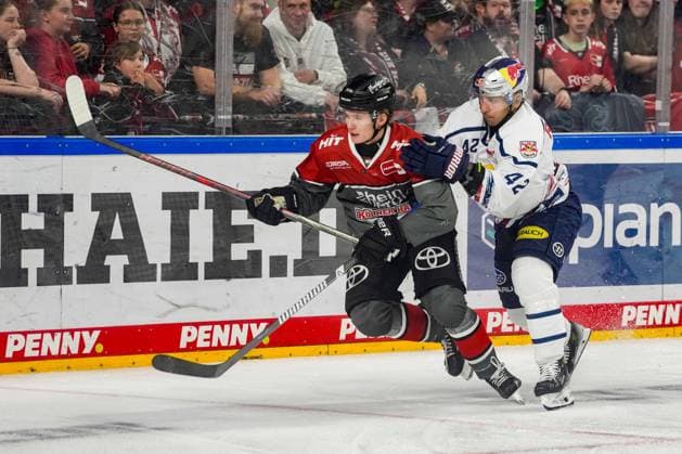 Eishockey Penny-DEL 5.Spieltag Kölner Haie - EHC Red Bull München am 02.10.2026 in der Lanxess Arena in Köln Carlos Händel ( Köln ), links - Yasin Ehliz ( München ), rechts Gemäß den Vorgaben der DEL Deutsche Eishockey Liga ist die Publikation und Weiterverwertung der Aufnahmen in elektronischen Medien und Endgeräten aller Art während des laufenden Spiels nicht zulässig.