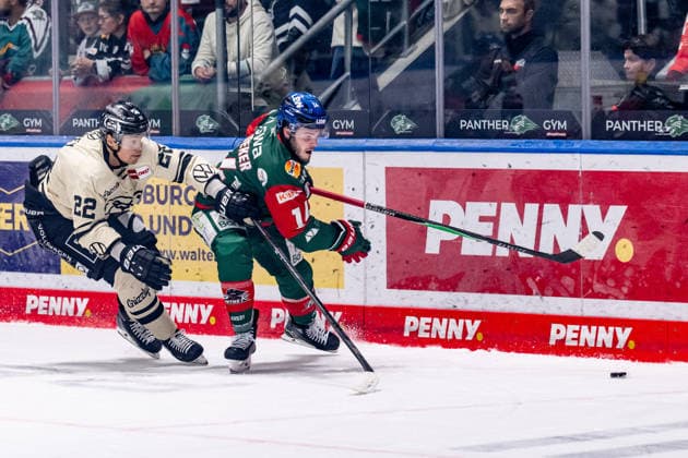 Kampf um den Puck Zweikampf zwischen Madison Bowey (Grizzlys Wolfsburg, 22) und Donald D.J. Busdeker (Augsburger Panther, 14) GER, Augsburger Panther vs. Grizzlys Wolfsburg, Eishockey, DEL, Saison 2026 2027, 4. Spieltag, 02.10.2026. Foto: HMB Media Heike Feiner Copyright: HMBxMedia HeikexFeiner