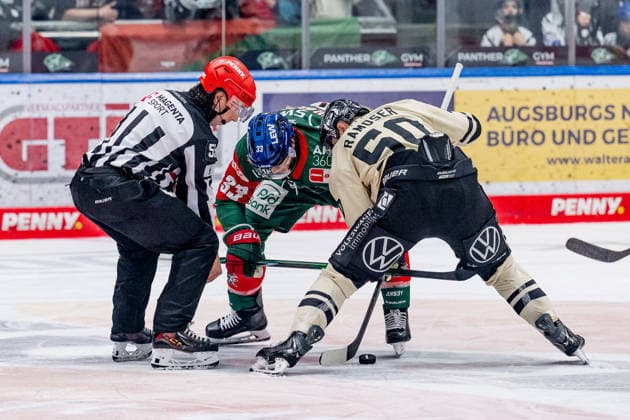 Linesperson Marcus Hoefer fuehrt ein Bully Faceoff aus zwischen Tim Wohlgemuth (Augsburger Panther, 33) und Julius Ramoser (Grizzlys Wolfsburg, 50) GER, Augsburger Panther vs. Grizzlys Wolfsburg, Eishockey, DEL, Saison 2026 2027, 4. Spieltag, 02.10.2026. Foto: HMB Media Heike Feiner Copyright: HMBxMedia HeikexFeiner