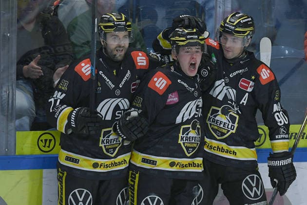 Eishockey Penny DEL 5. Spieltag Krefeld Pinguine - ERC Ingolstadt am 02.10.2026 in der Yayla Arena in Krefeld Torjubel zum 1:0 durch Luca Hauf ( Krefeld ) Gemäß den Vorgaben der DEL Deutsche Eishockey Liga ist die Publikation und Weiterverwertung der Aufnahmen in elektronischen Medien und Endgeräten aller Art während des laufenden Spiels nicht zulässig.