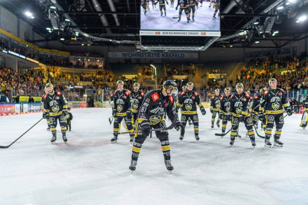 Siegreiche Krefelder bedanken sich bei den Fans in der Nordkurve, GER, Krefeld Pinguine vs. ERC Ingolstadt, Eishockey, PENNY DEL, 5. Spieltag, Spielzeit 2026 2027, 02.10.2026 GER, Krefeld Pinguine vs. ERC Ingolstadt, Eishockey, PENNY DEL, 5. Spieltag, Spielzeit 2026 2027, 02.10.2026 Krefeld Copyright: xEibner-Pressefoto FabianxFriesex EP_FFE