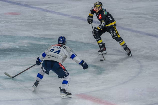 Paul Vinzens (ERC Ingolstadt, 24) gegen Tim Schuetz (Krefeld Pinguine, 38), GER, Krefeld Pinguine vs. ERC Ingolstadt, Eishockey, PENNY DEL, 5. Spieltag, Spielzeit 2026 2027, 02.10.2026 GER, Krefeld Pinguine vs. ERC Ingolstadt, Eishockey, PENNY DEL, 5. Spieltag, Spielzeit 2026 2027, 02.10.2026 Krefeld Copyright: xEibner-Pressefoto FabianxFriesex EP_FFE
