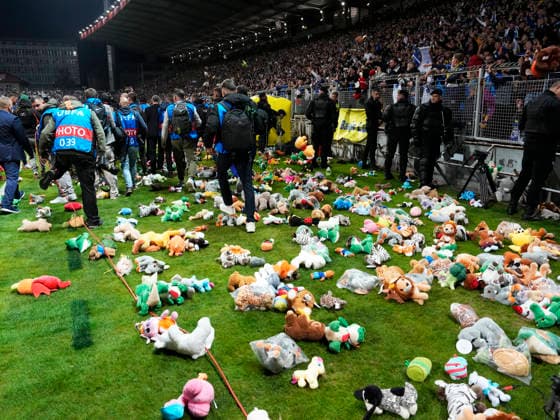 ZENICA, BOSNIEN-HERCEGOVINA 20261002 Gosedjur vid planen efter fredagens fotbollsmatch i Nations League mellan Bosnien-Hercegovina och Sverige pa Bilino Polje-stadion i Zenica.
