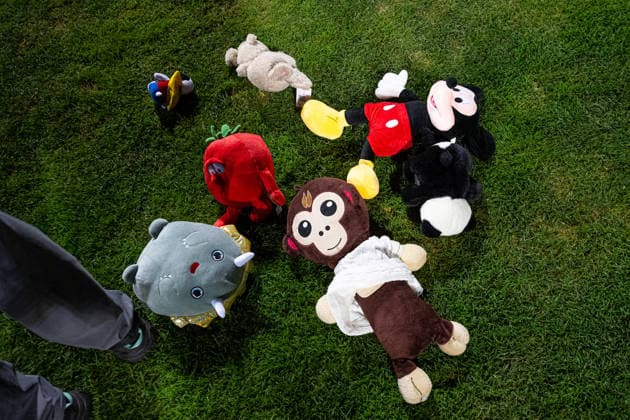 261002 Teddy bears tossed to the pitch after the Nations League football match between Bosnia and Herzegovina and Sweden on October 2, 2026 in Zenica. Photo: Ludvig Thunman BILDBYRAN kod LT LT0823 fotboll football soccer fotball nations league uefa nations league bosnia and herzegovina sverige sweden sverige a bbeng Copyright: LUDVIGxTHUNMAN BB261002LT215