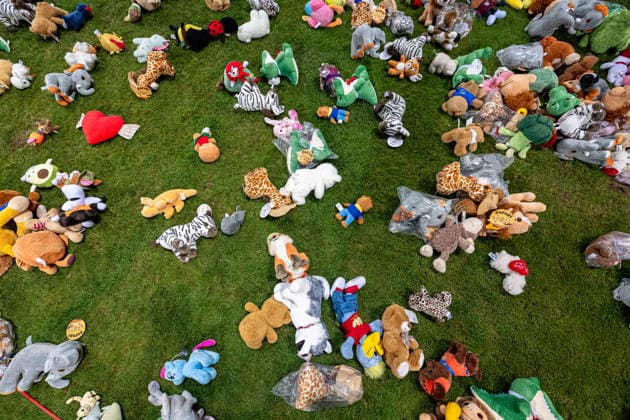 261002 Teddy bears tossed to the pitch after the Nations League football match between Bosnia and Herzegovina and Sweden on October 2, 2026 in Zenica. Photo: Ludvig Thunman BILDBYRAN kod LT LT0823 fotboll football soccer fotball nations league uefa nations league bosnia and herzegovina sverige sweden sverige a bbeng Copyright: LUDVIGxTHUNMAN BB261002LT220